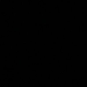 Meet your Posher, Jackson